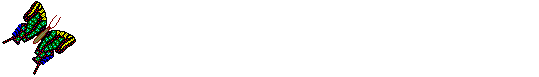 buttrfly